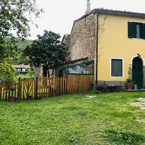Giuncaia17 Polveraia